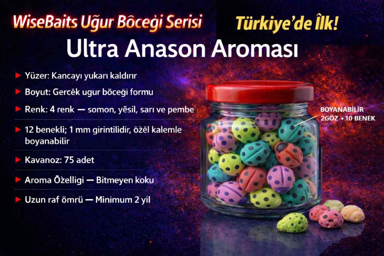 ANASONLU UĞUR BÖCEĞİ