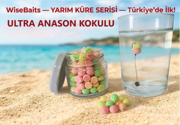 ANASONLU YARIM KÜRE